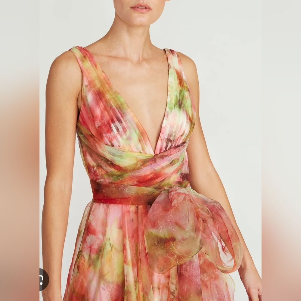NWT Theia Faye Painterly Bow Organza Lightweight Chiffon Flowy A-line Gown 4‎ - Picture 6 of 15
